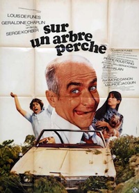 Sur un arbre perché